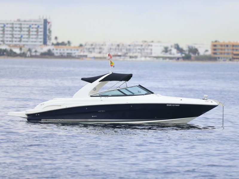 SEA RAY 295