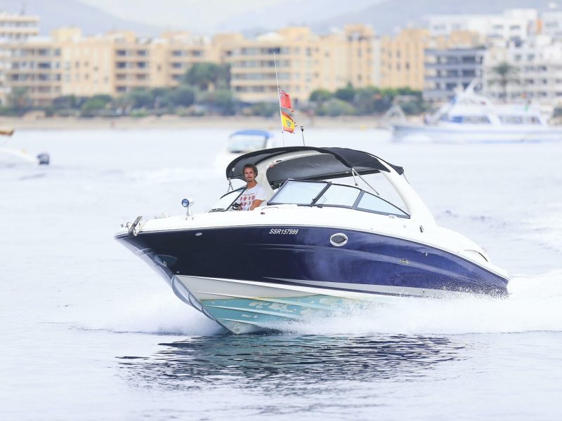 SEA RAY 295