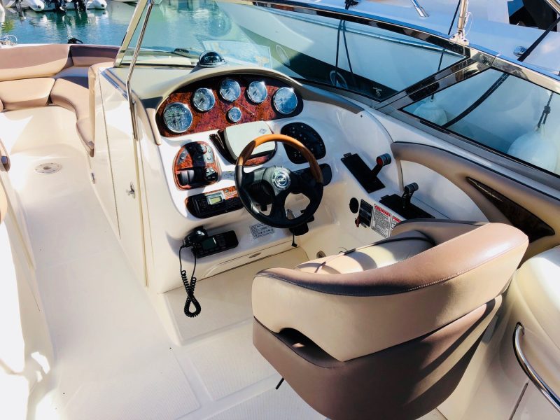 SEA RAY 295