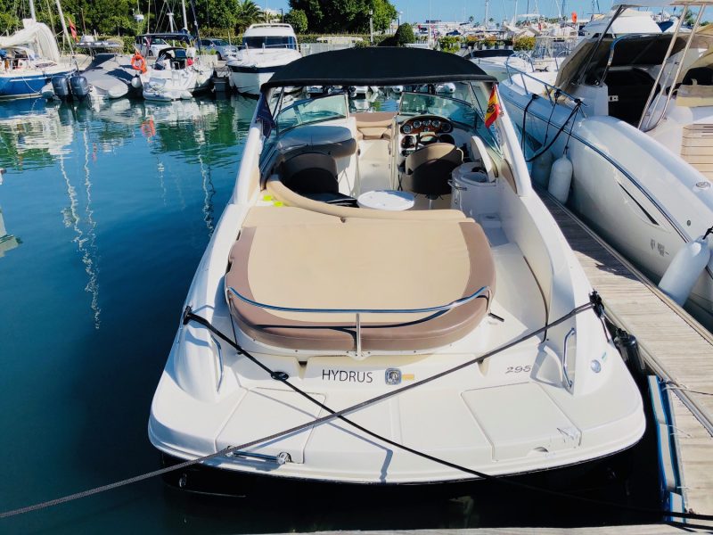 SEA RAY 295