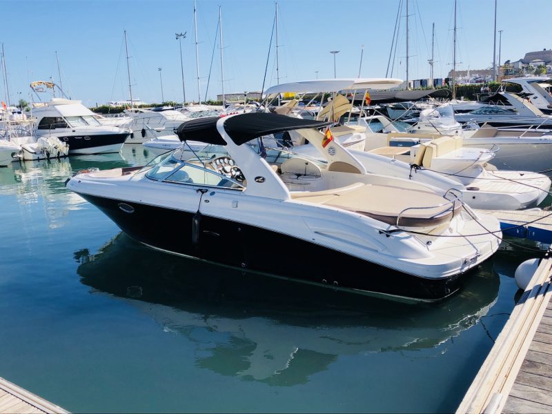 SEA RAY 295
