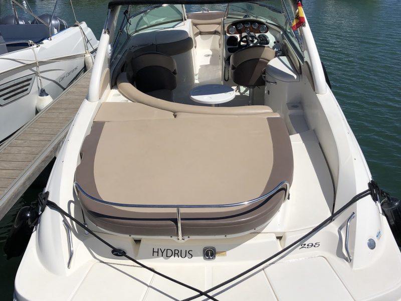 SEA RAY 295
