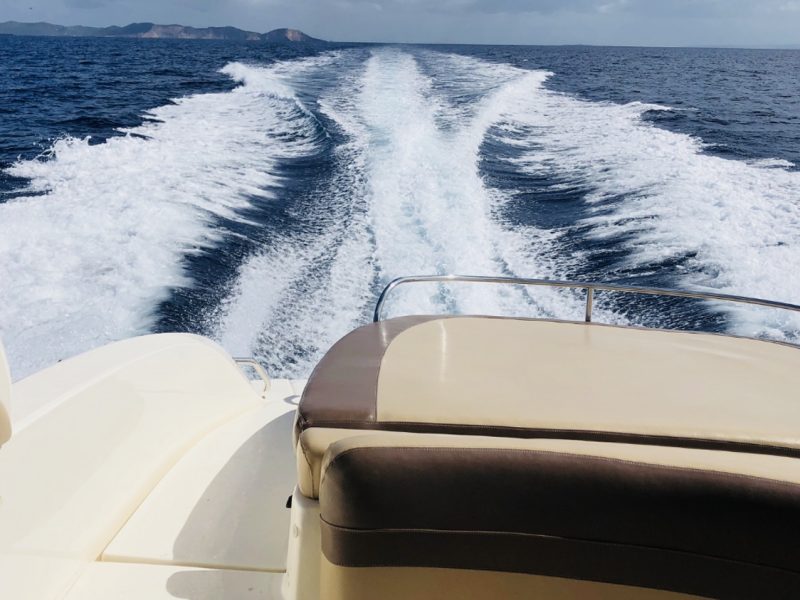SEA RAY 295